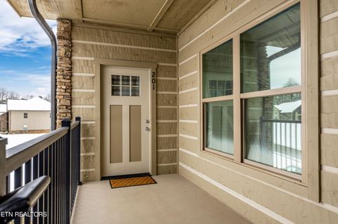 Photo of 326 Shooting Star Loop #201, Townsend, TN 37882 (MLS # 1328441)