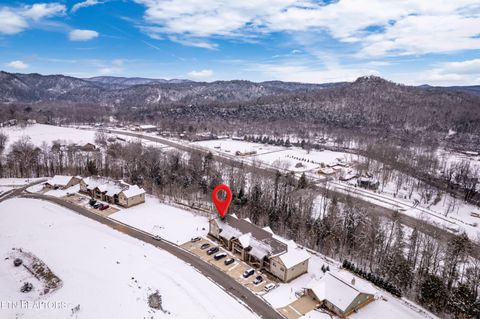 Tiny photo for 326 Shooting Star Loop #201, Townsend, TN 37882 (MLS # 1328441)