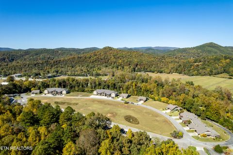 Tiny photo for 326 Shooting Star Loop #201, Townsend, TN 37882 (MLS # 1328441)