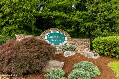 Tiny photo for 326 Shooting Star Loop #201, Townsend, TN 37882 (MLS # 1328441)