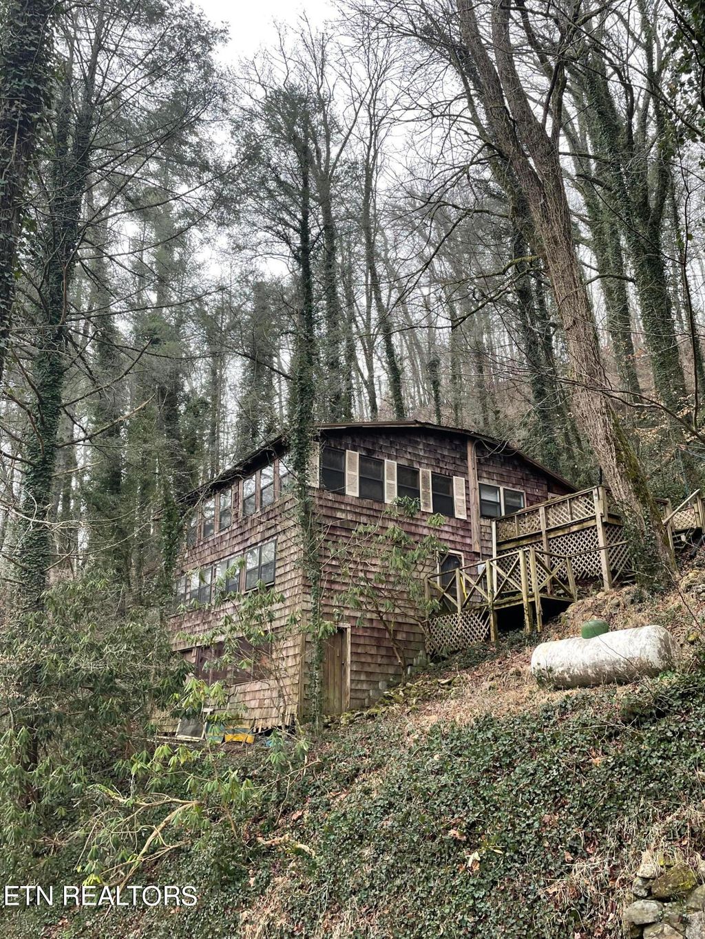 Photo of 109 Mount Luke Rd, Townsend, TN 37882 (MLS # 1251267)