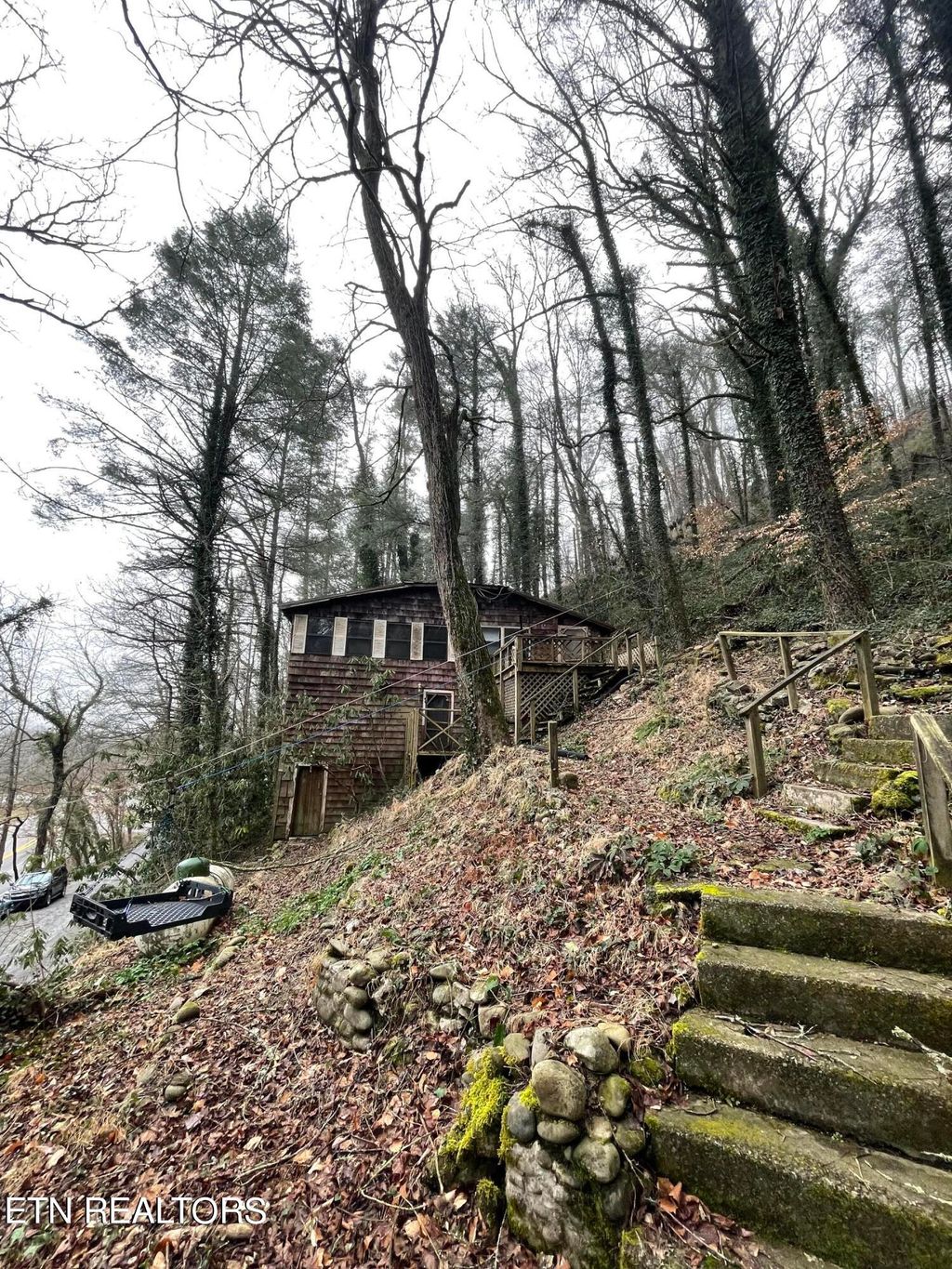 Photo of 109 Mount Luke Rd, Townsend, TN 37882 (MLS # 1251267)