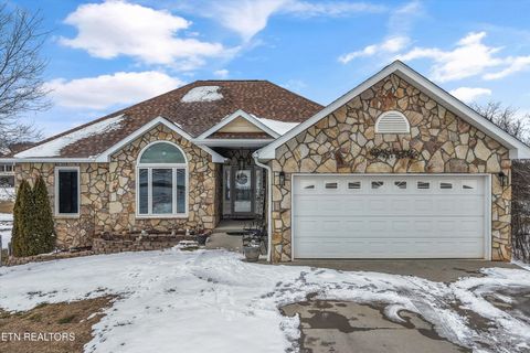 407 Kahite Tr Vonore TN 37885