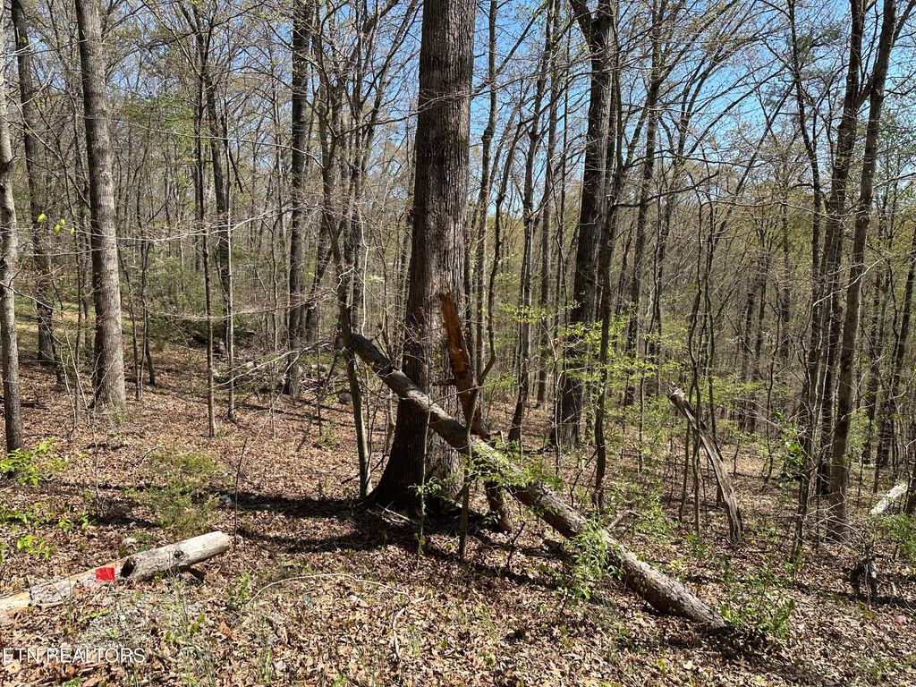 Photo of Day Break (Off Davenport Rd) Drive, LaFollette, TN 37766 (MLS # 1296689)
