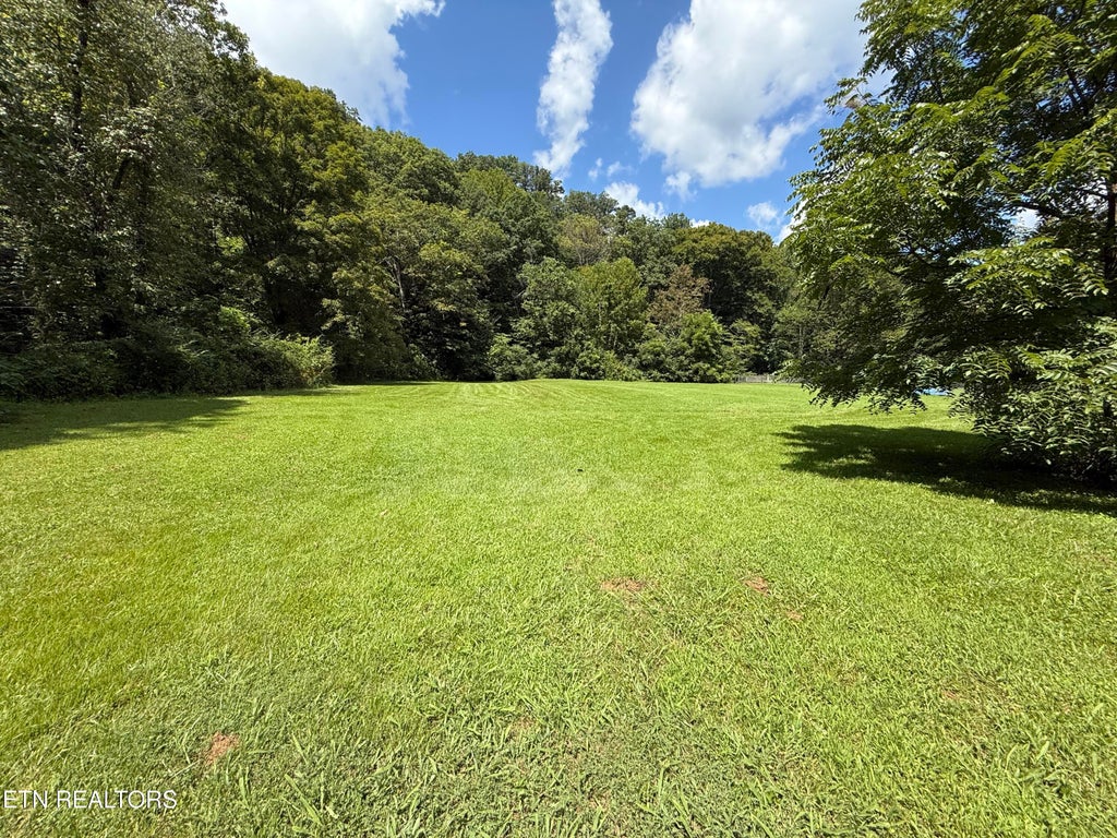 Photo of 353 Cotula Rd, Duff, TN 37729 (MLS # 1352961)