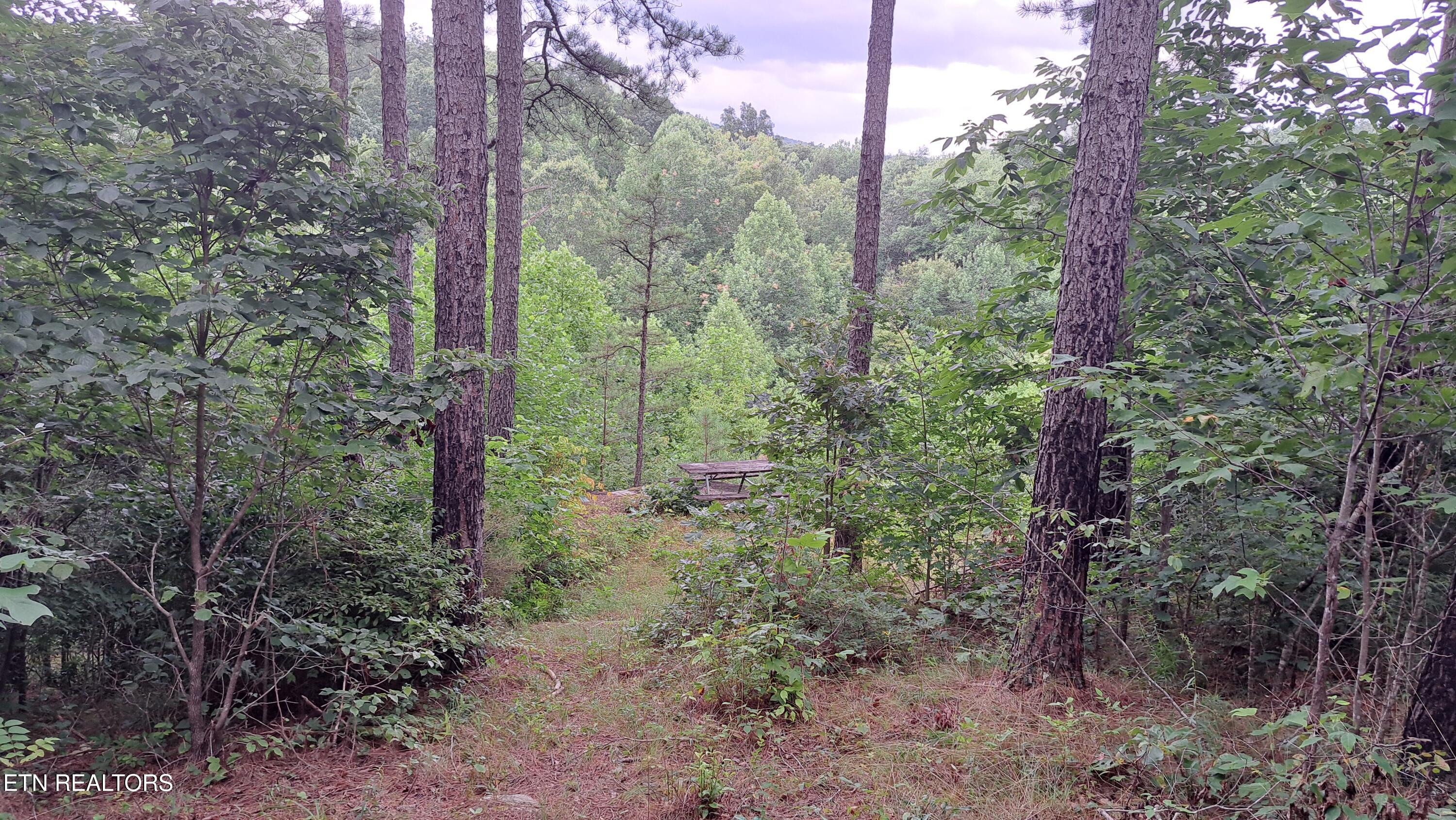 899 Flat Rock Rd