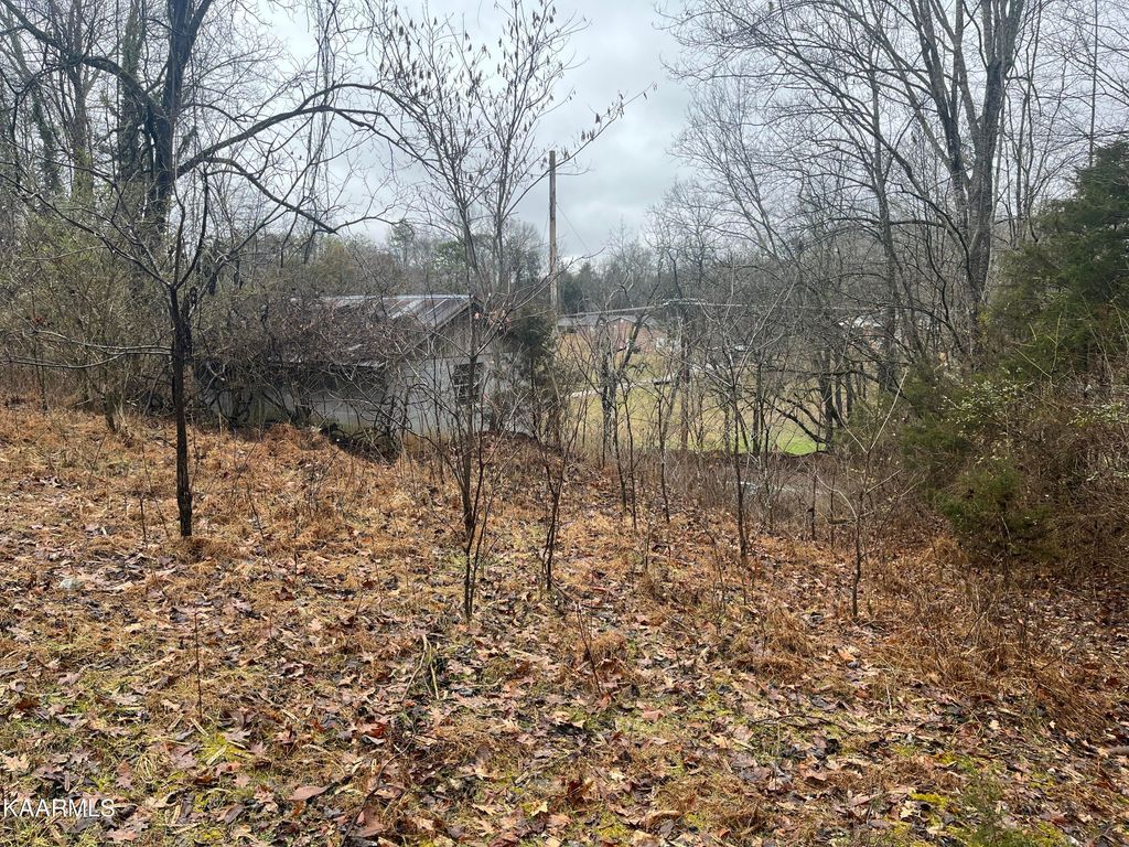 Photo of 443 Old Dandridge Pk-Off Pike, Strawberry Plains, TN 37871 (MLS # 1224059)