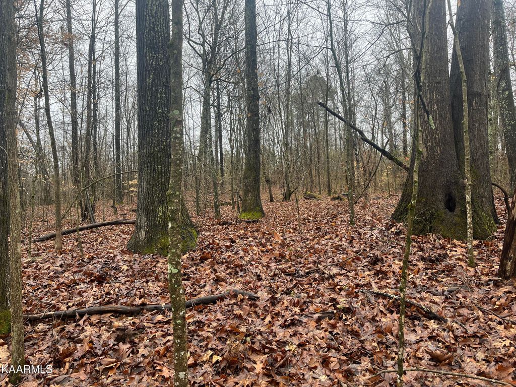 Photo of 443 Old Dandridge Pk-Off Pike, Strawberry Plains, TN 37871 (MLS # 1224059)