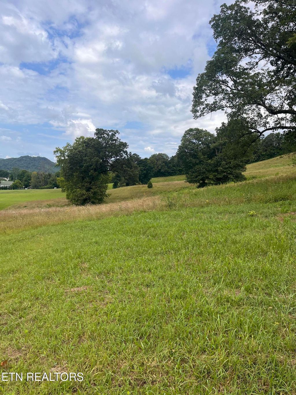 Photo of Dayflower Way, Maynardville, TN 37807 (MLS # 1308852)