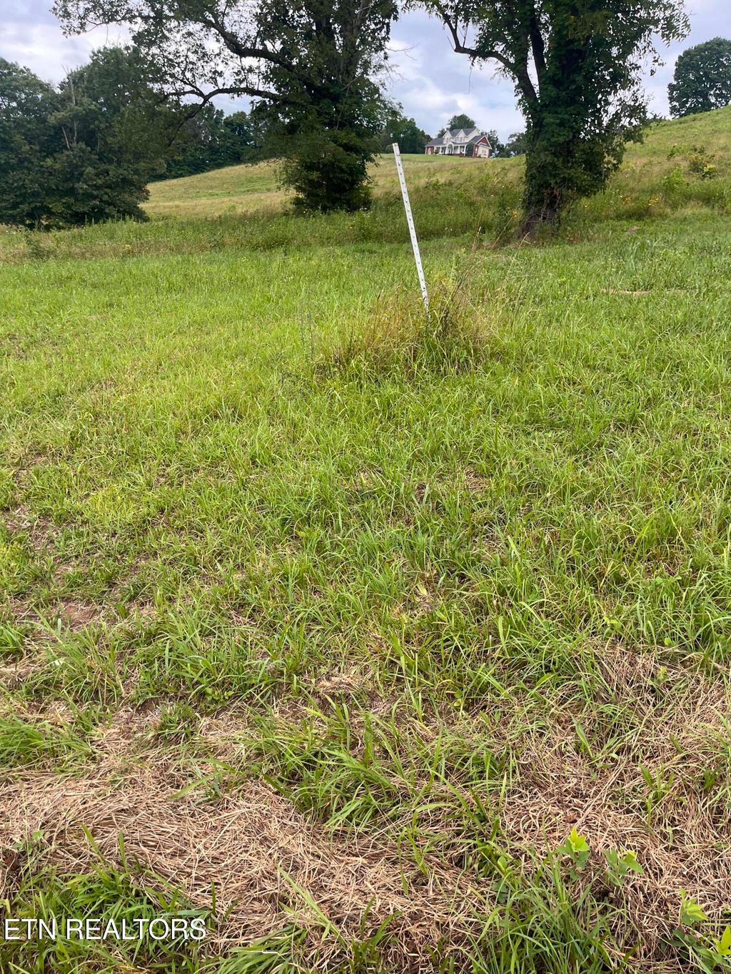 Photo of Dayflower Way, Maynardville, TN 37807 (MLS # 1308852)