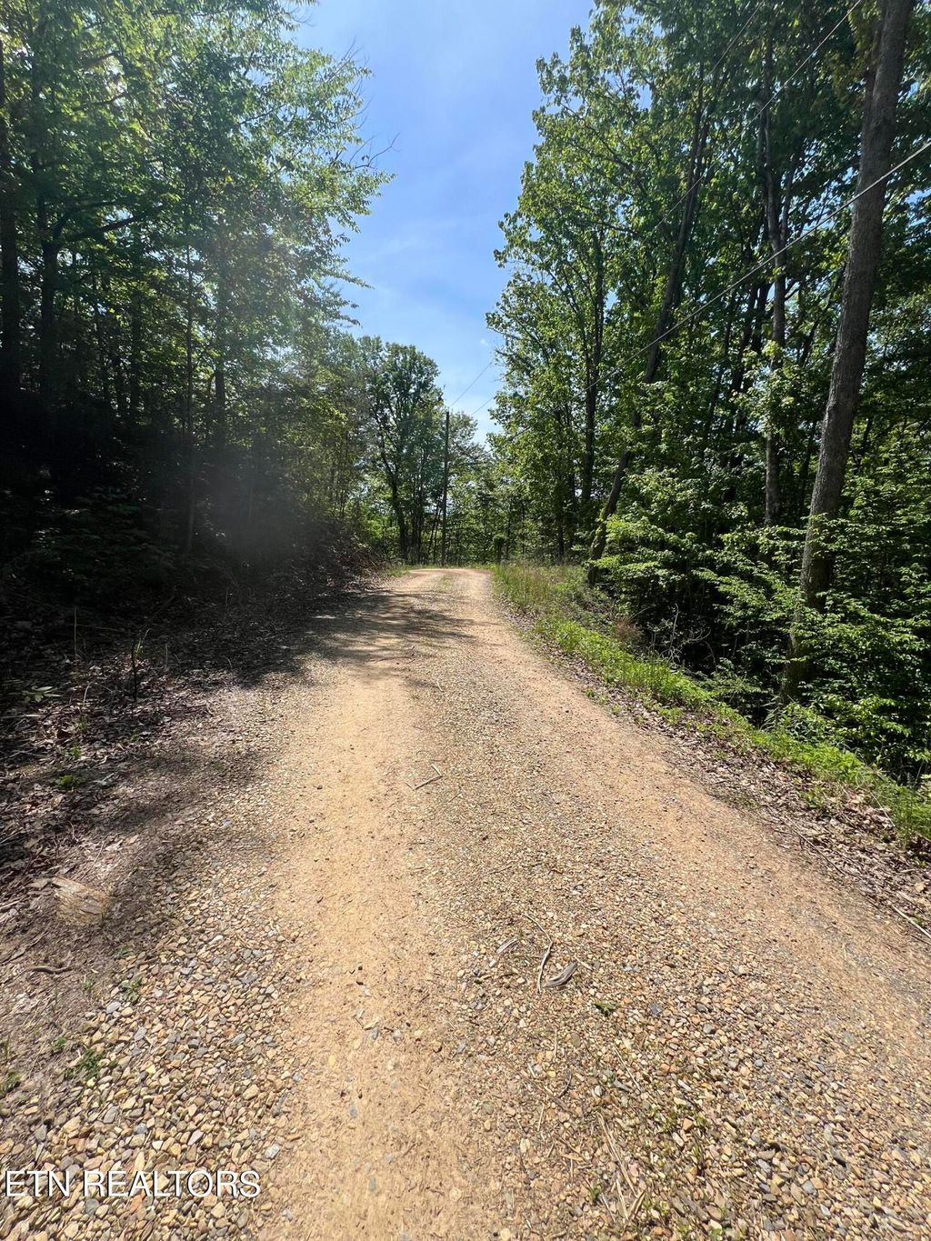 Photo of 55 Black Oak / lot 26 Butternut Place, Sevierville, TN 37876 (MLS # 1262236)