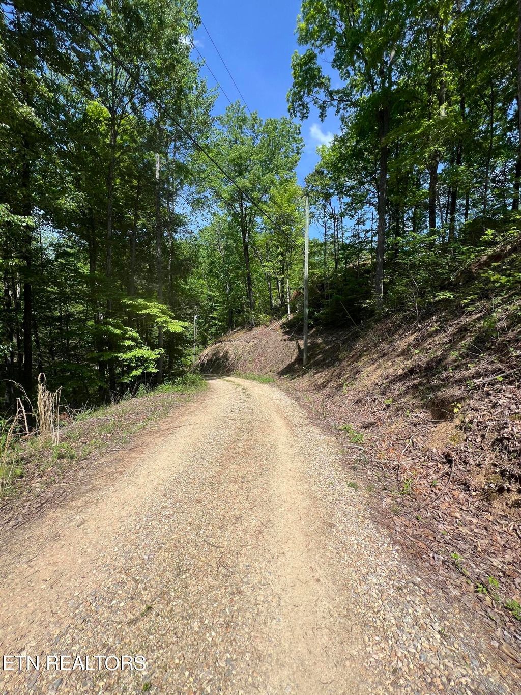 Photo of 55 Black Oak / lot 26 Butternut Place, Sevierville, TN 37876 (MLS # 1262236)