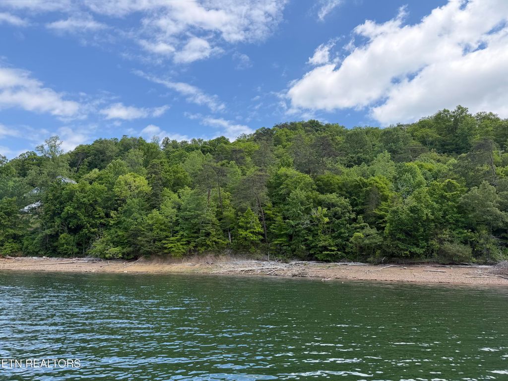 Photo of 880 Fellowship Lane, New Tazewell, TN 37825 (MLS # 1248506)