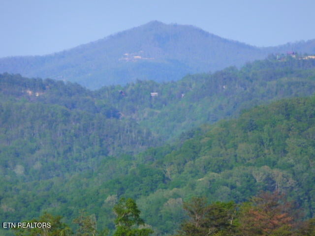 Photo of 521 Domar Court, Townsend, TN 37882 (MLS # 1357414)