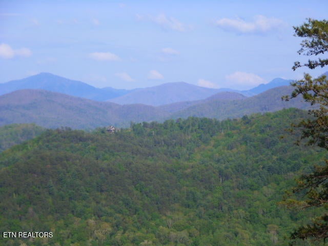 Photo of 521 Domar Court, Townsend, TN 37882 (MLS # 1357414)