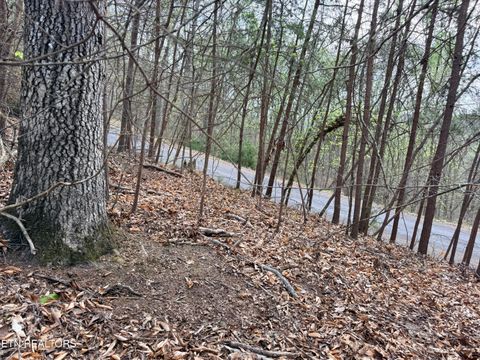 Tiny photo for 77 Grandpas Ridge, Sharps Chapel, TN 37866 (MLS # 1335427)