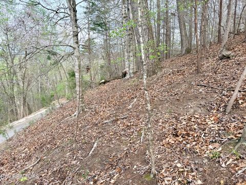 Tiny photo for 77 Grandpas Ridge, Sharps Chapel, TN 37866 (MLS # 1335427)