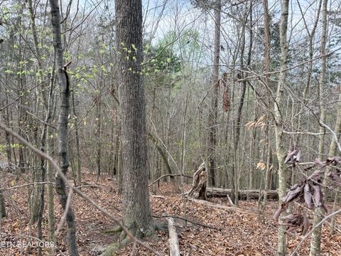 Tiny photo for 77 Grandpas Ridge, Sharps Chapel, TN 37866 (MLS # 1335427)