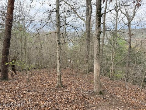 Tiny photo for 77 Grandpas Ridge, Sharps Chapel, TN 37866 (MLS # 1335427)