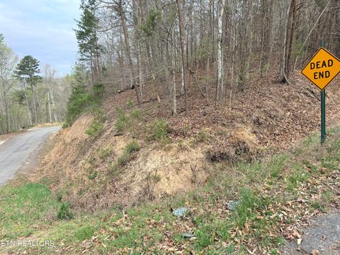 Tiny photo for 77 Grandpas Ridge, Sharps Chapel, TN 37866 (MLS # 1335427)