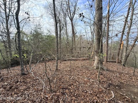 Tiny photo for 77 Grandpas Ridge, Sharps Chapel, TN 37866 (MLS # 1335427)