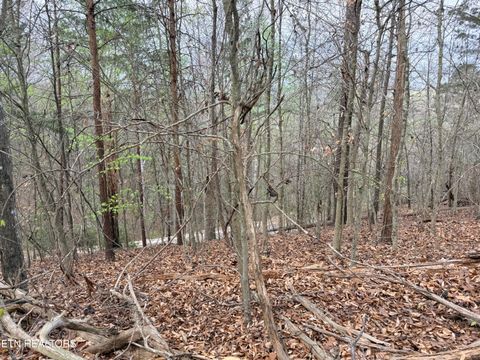 Tiny photo for 77 Grandpas Ridge, Sharps Chapel, TN 37866 (MLS # 1335427)