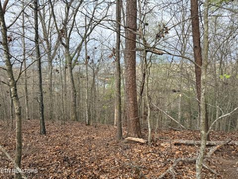 Tiny photo for 77 Grandpas Ridge, Sharps Chapel, TN 37866 (MLS # 1335427)