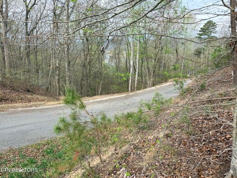 Tiny photo for 77 Grandpas Ridge, Sharps Chapel, TN 37866 (MLS # 1335427)