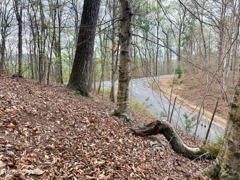 Tiny photo for 77 Grandpas Ridge, Sharps Chapel, TN 37866 (MLS # 1335427)