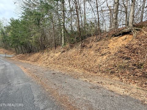 Tiny photo for 77 Grandpas Ridge, Sharps Chapel, TN 37866 (MLS # 1335427)