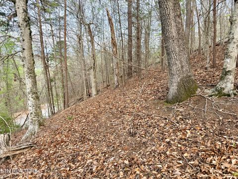 Tiny photo for 77 Grandpas Ridge, Sharps Chapel, TN 37866 (MLS # 1335427)