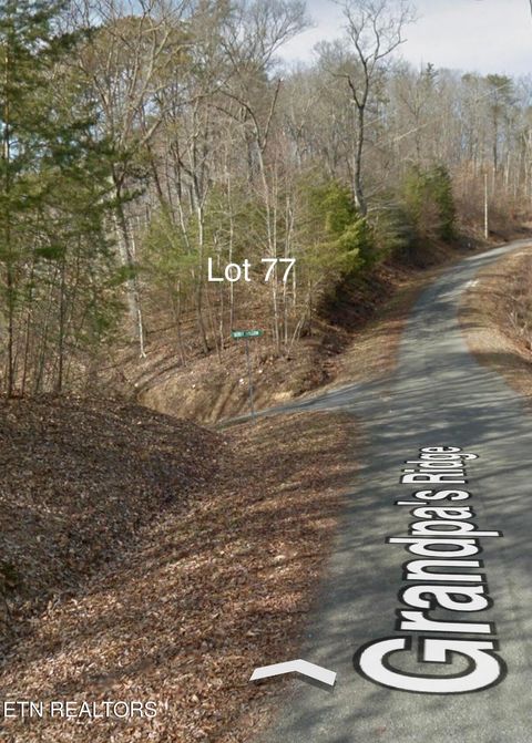 Tiny photo for 77 Grandpas Ridge, Sharps Chapel, TN 37866 (MLS # 1335427)