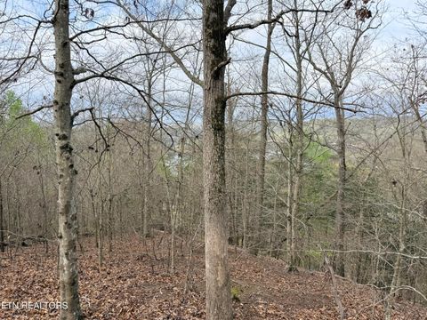 Tiny photo for 77 Grandpas Ridge, Sharps Chapel, TN 37866 (MLS # 1335427)