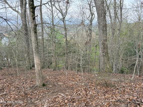 Tiny photo for 77 Grandpas Ridge, Sharps Chapel, TN 37866 (MLS # 1335427)