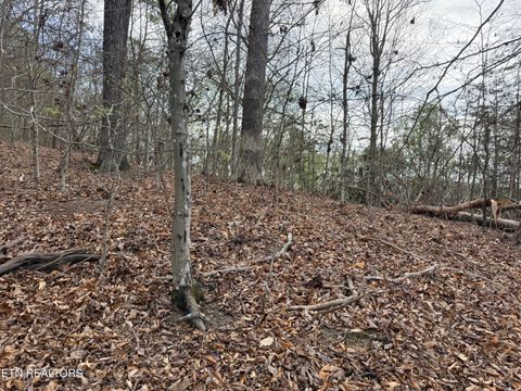 Tiny photo for 77 Grandpas Ridge, Sharps Chapel, TN 37866 (MLS # 1335427)