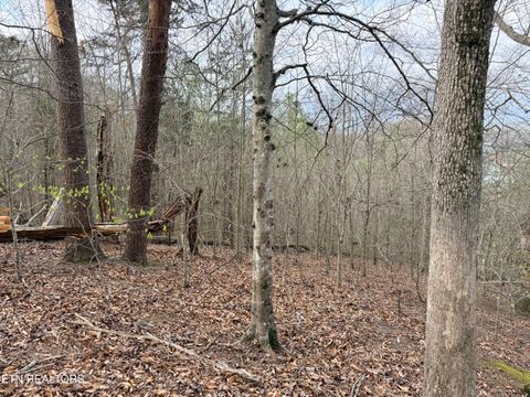 Tiny photo for 77 Grandpas Ridge, Sharps Chapel, TN 37866 (MLS # 1335427)