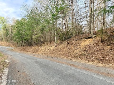 Tiny photo for 77 Grandpas Ridge, Sharps Chapel, TN 37866 (MLS # 1335427)