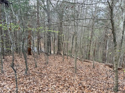 Tiny photo for 77 Grandpas Ridge, Sharps Chapel, TN 37866 (MLS # 1335427)