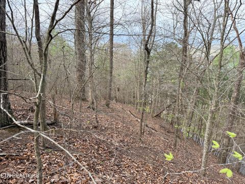 Tiny photo for 77 Grandpas Ridge, Sharps Chapel, TN 37866 (MLS # 1335427)