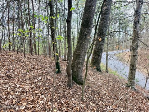 Tiny photo for 77 Grandpas Ridge, Sharps Chapel, TN 37866 (MLS # 1335427)