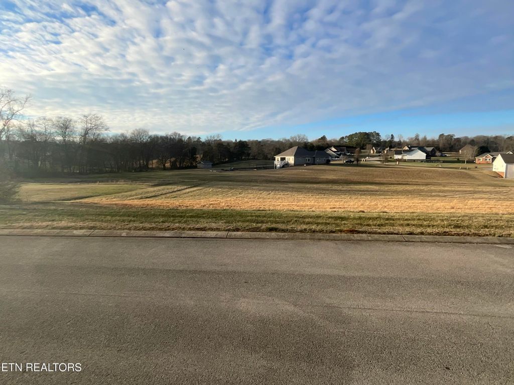 Photo of 112 Old Hickory Circle, Madisonville, TN 37354 (MLS # 1328093)