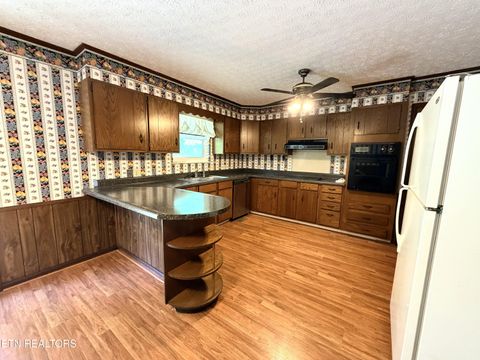 Tiny photo for 145 County Road 152, Riceville, TN 37370 (MLS # 1341422)