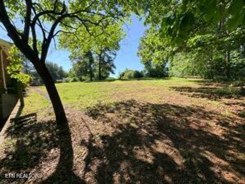 Tiny photo for 145 County Road 152, Riceville, TN 37370 (MLS # 1341422)