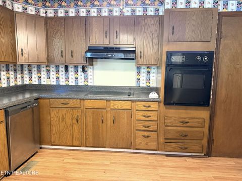 Tiny photo for 145 County Road 152, Riceville, TN 37370 (MLS # 1341422)
