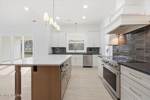 Tiny photo for 122 Walelu Tr, Vonore, TN 37885 (MLS # 1325345)