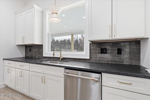 Tiny photo for 122 Walelu Tr, Vonore, TN 37885 (MLS # 1325345)