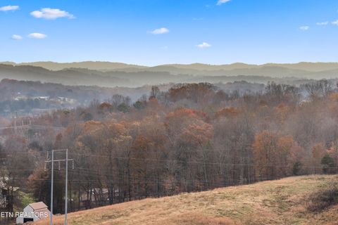 Tiny photo for 47 Sierra Lane, Blaine, TN 37709 (MLS # 1328318)