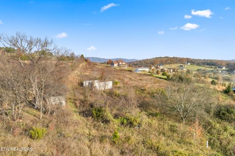 Tiny photo for 47 Sierra Lane, Blaine, TN 37709 (MLS # 1328318)