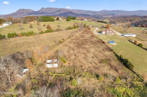 Tiny photo for 47 Sierra Lane, Blaine, TN 37709 (MLS # 1328318)