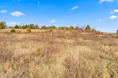 Tiny photo for 47 Sierra Lane, Blaine, TN 37709 (MLS # 1328318)